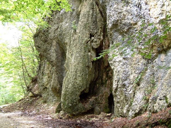 Sculture naturali